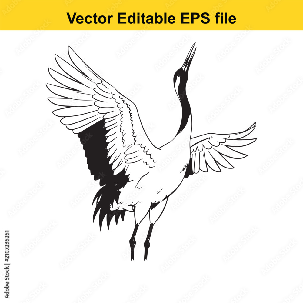 Fototapeta premium Black and white vector illustration of a majestic japanese redcrowned crane with wings spread wide, isolated on white background
