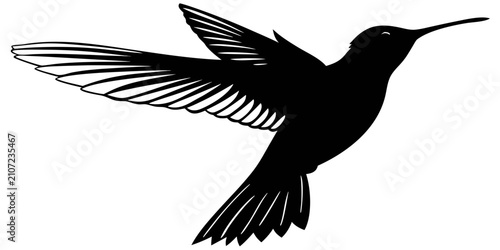 Obraz na płótnie Black hummingbird silhouette flying mid-air, isolated on white background