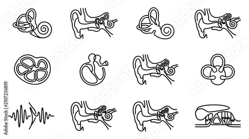 Foto Human Ear Anatomy Diagrams: Cochlea, Ossicles, Vestibular System & Auditory Path
