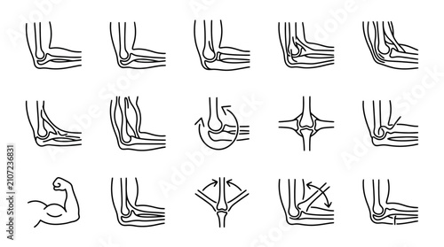 Foto Elbow Joint Anatomy and Movement: Medical Diagram Icons