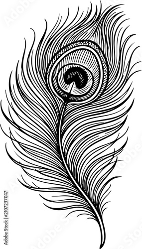 Ornate peacock feather illustration in black and white with a detailed monochromatic graphic