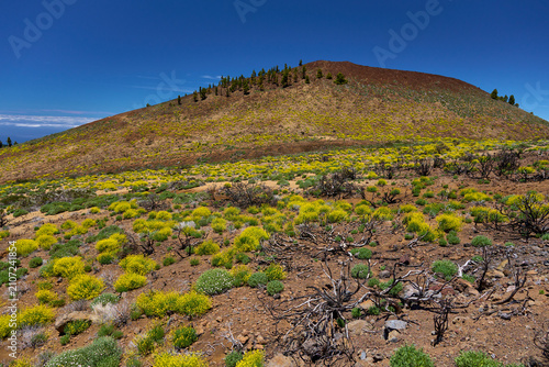Obraz na płótnie Volcanic hill in Teide National Park