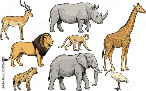 Photography Vintage hand drawn sketch African safari wild animals vector set featuring gazel