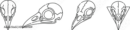 Fotografie Crow Skull Icons Set Vector, Raven Skull, Bird Skeleton, Gothic Symbol and Dark