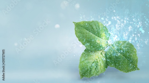 Bright green leaf covered with sparkling water droplets, botanical freshness, natural hydration, healthy growth, soft environmental background