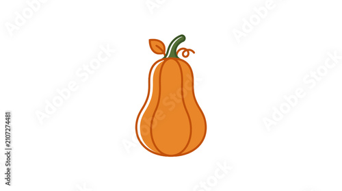Fotografie Orange butternut squash illustration on white background.