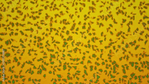 A seamless looping video background displaying a pattern of green and orange spots on yellow.