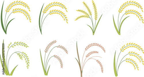 Tableau sur toile Rice ears flat vector illustration compilation