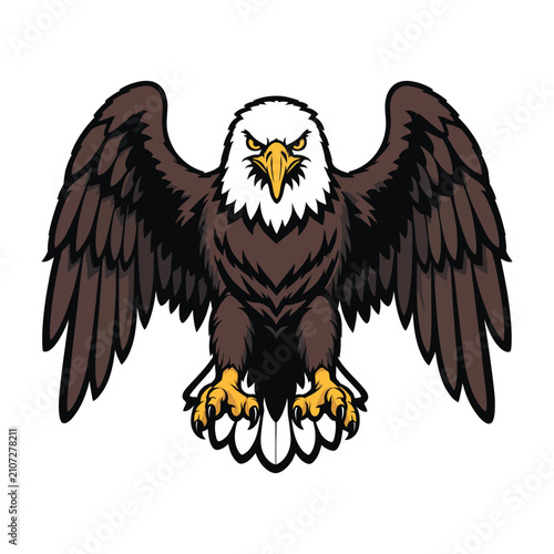 Bald Eagle Bird Illustration With Spread Wings And Sharp Talons