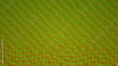 Abstract texture resembling a looping surface with green cellular shapes and orange accents against an organic yellowgreen background.