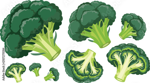 Foto Broccoli greens flat vector illustration selection