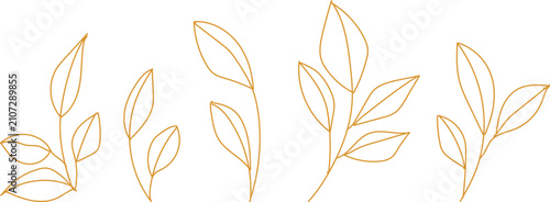 Delicate golden brown outlined leaves and branches grace a clean white surface with natural simplicity