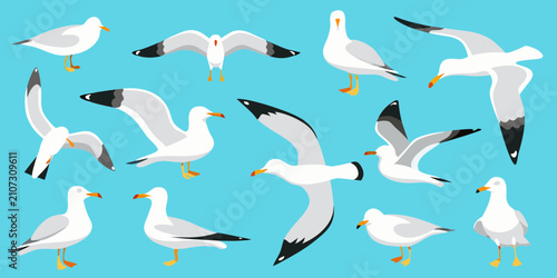 Photography Seagulls In Flight Flat Vector Illustration With Blue Background avian