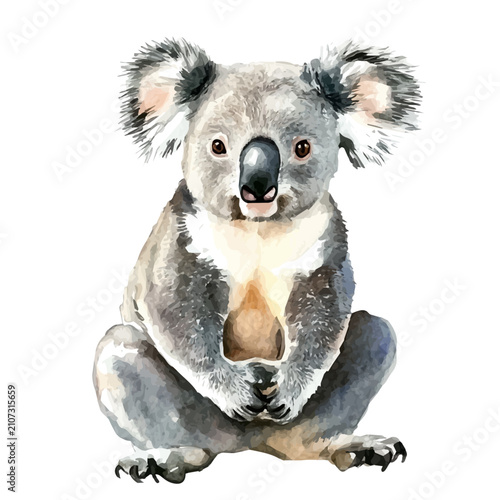 Canvas Print Koala, delicate watercolor illustration vector with soft and elegant colors, isolated on a white background