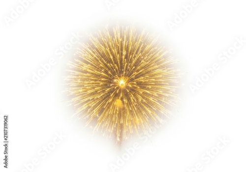 Close-up of a dandelion seed head