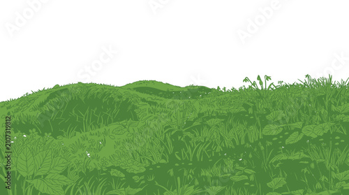 Ilustração vetorial de uma colina verde com grama detalhada e fundo branco isolado, ideal para design de paisagens naturais, banners de primavera ou projetos de ecologia e meio ambiente.