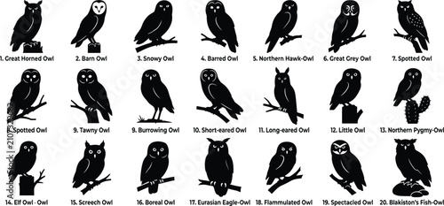фотографія Owl species silhouette vector icons set with wild predatory birds and perched no
