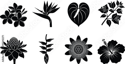 Bild auf Leinwand Set of tropical flower silhouettes including frangipani bird of paradise anthuri