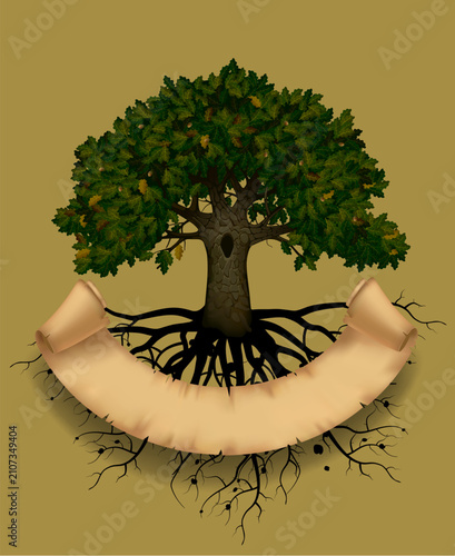 Green oak tree with roots and parchment scroll banner. Vintage artistic page and cover design. Vector illustration in 3d style