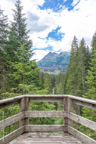 Wooden Observation Deck Overlooking Alpine Forest and Mountain Landscape in Summer