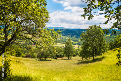 Foto Verts pâturages autour d'Estaing en Aveyron - France