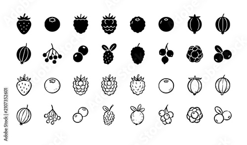 Foto Berry Icons Set with Black Silhouette and Grey Sketch Styles Isolated Vector Col