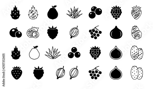 Bild auf Leinwand Exotic Tropical Fruit Vector Icons with Solid and Scribble Style for Branding Pa