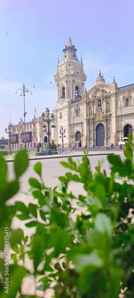 Fototapeta premium Lima's historic cathedral seen through green foliage
