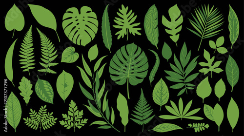 Collection of green tropical leaf silhouettes on black background.