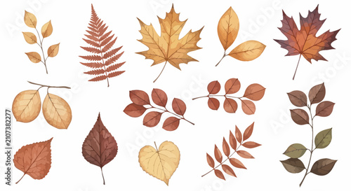 Watercolor autumn leaves set of isolated foliage elements on white background
