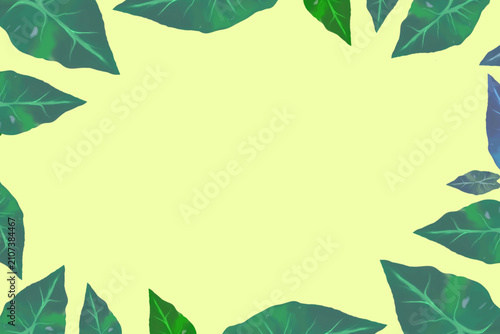 bright green abstract background with fresh green taro leaf collection frame