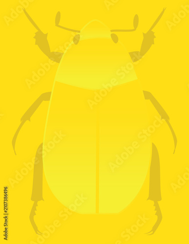 Fotografie A goldbug is typically the Golden Tortoise Beetle (Charidotella sexpunctata), a tiny, mirror-like leaf beetle famous for its ability to shift its shimmering metallic gold color