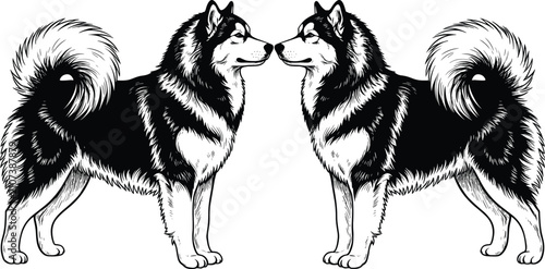Bild auf Leinwand Symmetrical black and white illustration of two Alaskan Malamute dogs facing eac
