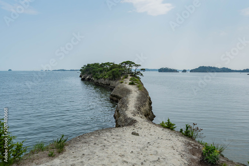Cuadro en lienzo Scenic view of a small pine-covered island and rocky shoreline at Matsushima Bay