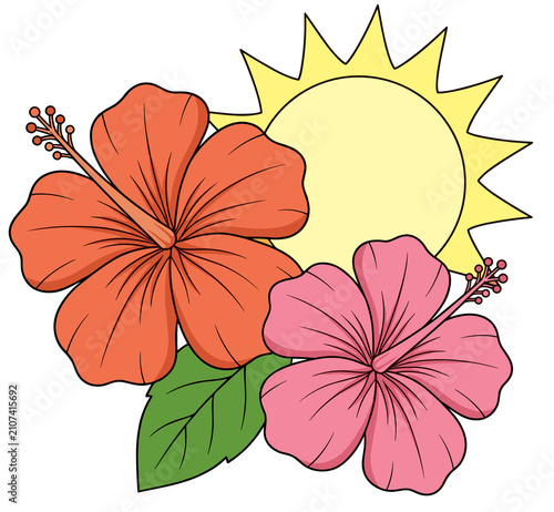 Tropical Red And Pink Hibiscus Flowers With Sun Background
