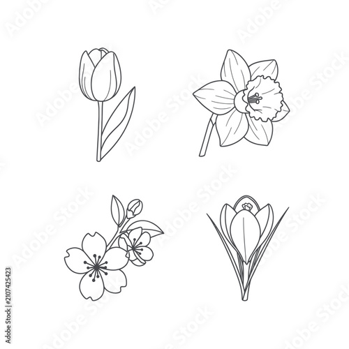 Tulip, daffodil, cherry blossom, and crocus flower outlines.