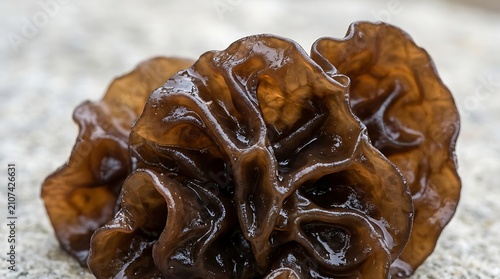 Wood ear mushroom macro close up showing intricate gelatinous texture with convoluted surface texture against neutral