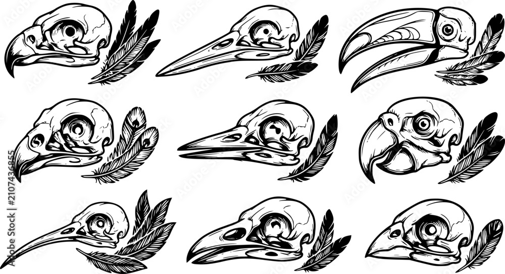 Obraz premium Black and White Bird Skull Illustration Set with Varied Beak Shapes and Feather Details