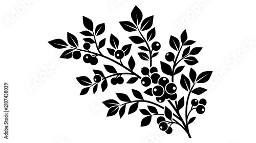 Huckleberry vector branch silhouette with leaves and wild berries