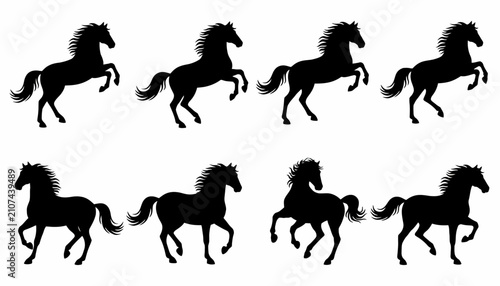 Fotografia Horses in various rearing and walking poses appear as dark silhouettes arranged in two distinct rows