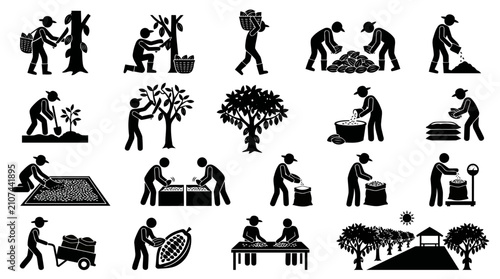 Comprehensive stick figure pictogram set of cocoa harvesting and bean processing steps, from cacao tree cultivation to bean weighing and sack transport.