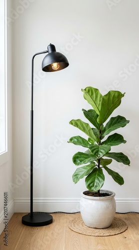 Minimalist interior featuring a potted plant and black adjustable floor lamp.