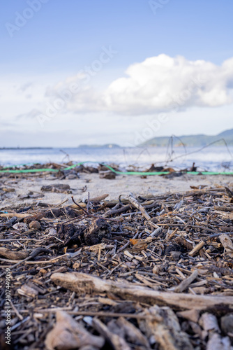 Fotografie Close-up of driftwood and plastic debris scattered on a sandy beach with the oce