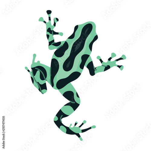 Poison dart frog vector illustration with black stripes
