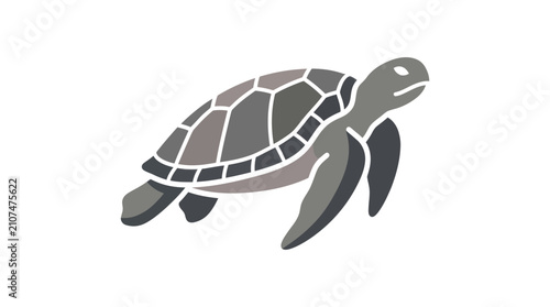 Photography Turtle Icon Graphic Illustration Design.