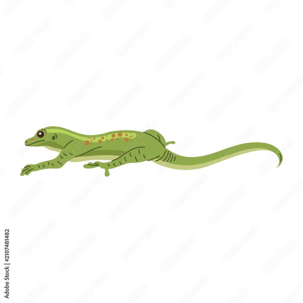 Fototapeta premium Small green lizard vector illustration isolated on white 