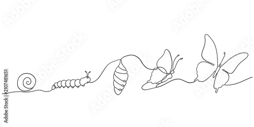 Fotografie Life Cycle of a Butterfly from Egg to Adult Stages