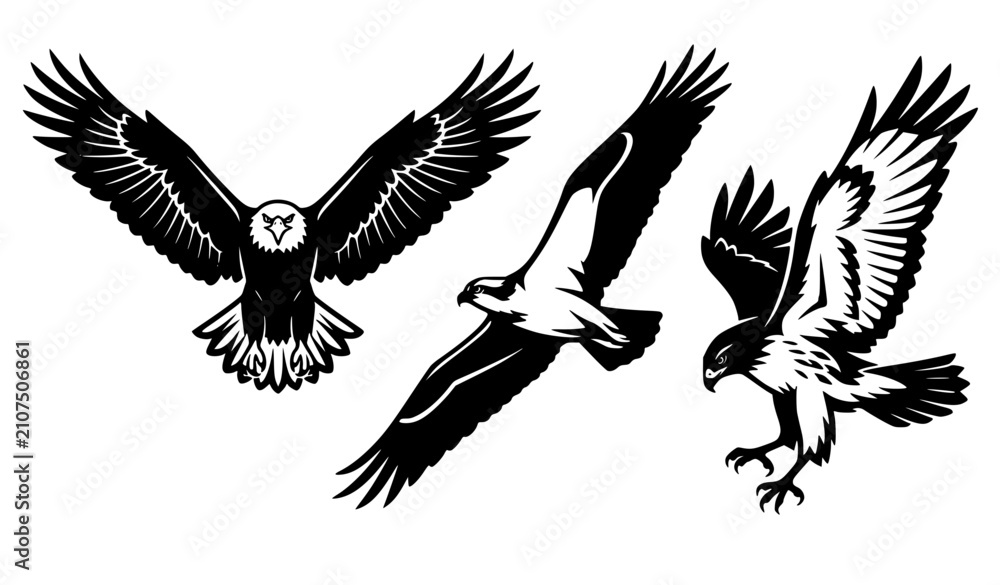 Fototapeta premium Detailed black and white flying eagle vector illustration collection featuring powerful birds of prey soaring, gliding, and landing with talons out for mascot design.