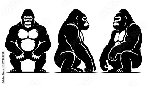 Quadro su tela Powerful gorilla silhouette set featuring silverback apes in dominant front view