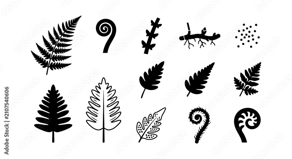 Obraz premium Fern Leaf Vector Illustrations, Botanical Elements, Nature Icons, Black and White Organic Shapes